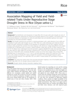 Association Mapping of Yield and Yield-related Traits Under Reproductive Stage Drought Stress in Rice (Oryza sativa L.)
