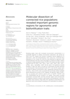 Molecular dissection of connected rice populations revealed important genomic regions for agronomic and biofortification traits