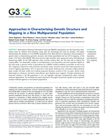 Approaches in Characterizing Genetic Structure and Mapping in a Rice Multiparental Population