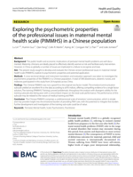 Exploring the psychometric properties of the professional issues in maternal mental health scale (PIMMHS) in a Chinese population