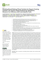 Breeding Bread-Making Wheat Varieties for Organic Farming Systems: The Need to Target Productivity, Robustness, Resource Use Efficiency and Grain Quality Traits