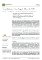 Current Status and Future Prospects of Head Rice Yield