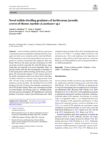 Novel rubble-dwelling predators of herbivorous juvenile crown-of-thorns starfish (Acanthaster sp.)