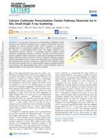 Calcium Carbonate Prenucleation Cluster Pathway Observed via In Situ Small-Angle X-ray Scattering