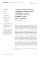 Conceptual model to inform Legionella–amoebae control, including the roles of extracellular vesicles in engineered water system infections