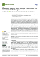 Combining Drones and Deep Learning to Automate Coral Reef Assessment with RGB Imagery