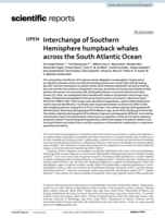 Interchange of Southern Hemisphere humpback whales across the South Atlantic Ocean