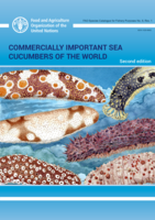 Commercially important sea cucumbers of the world
