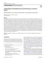 Limited impact of chytridiomycosis on juvenile frogs in a recovered species