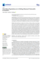 Are Urban Populations of a Gliding Mammal Vulnerable to Decline?