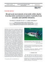 Broad-scale movements of juvenile white sharks Carcharodon carcharias in eastern Australia from acoustic and satellite telemetry