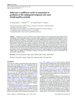 What eats a cauliflower coral? An assessment of predation on the endangered temperate soft coral, Dendronepthya australis
