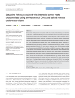 Estuarine fishes associated with intertidal oyster reefs characterized using environmental DNA and baited remote underwater video