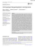 Urchin grazing of kelp gametophytes in warming oceans