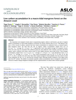 Low carbon accumulation in a macro‐tidal mangrove forest on the Amazon coast