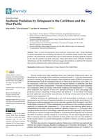 Seahorse Predation by Octopuses in the Caribbean and the West Pacific
