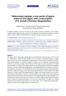 Hippocampus japapigu, a new species of pygmy seahorse from Japan, with a redescription of H. pontohi (Teleostei, Syngnathidae)