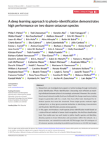 A deep learning approach to photo–identification demonstrates high performance on two dozen cetacean species