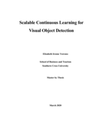 Scalable Continuous Learning for Visual Object Detection