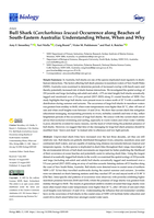 Bull Shark (Carcharhinus leucas) Occurrence along Beaches of South-Eastern Australia: Understanding Where, When and Why