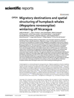 Migratory destinations and spatial structuring of humpback whales (Megaptera novaeangliae) wintering off Nicaragua