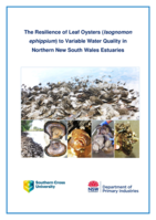 The Resilience of Leaf Oysters (Isognomon ephippium) to Variable Water Quality in Northern New South Wales Estuaries