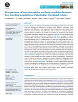 Comparisons of morphometrics and body condition between two breeding populations of Australian humpback whales