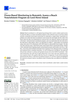 Drone-based monitoring to remotely assess a beach nourishment program on Lord Howe Island