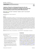 A glimmer of hope for an Endangered temperate soft coral: the first observations of reproductive strategies and early life cycle of Dendronephthya australis (Octocorallia: Malacalcyonacea)