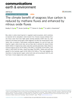 The climate benefit of seagrass blue carbon is reduced by methane fluxes and enhanced by nitrous oxide fluxes
