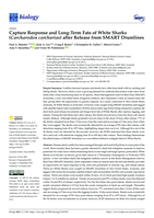 Capture Response and Long-Term Fate of White Sharks (Carcharodon carcharias) after Release from SMART Drumlines