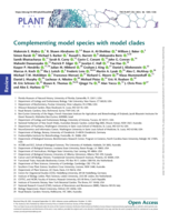 Complementing model species with model clades