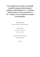 An investigation on the effects of downhill treadmill running and intramuscular needling on mitochondrial Ca2+ overload in skeletal muscle: From the perspective of Ca2+ transport from sarcoplasmic reticulum to mitochondria