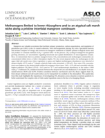 Methanogens limited to lower rhizosphere and to an atypical salt marsh niche along a pristine intertidal mangrove continuum