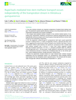 Rapid bark-mediated tree stem methane transport occurs independently of the transpiration stream in Melaleuca quinquenervia