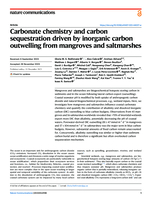 Carbonate chemistry and carbon sequestration driven by inorganic carbon outwelling from mangroves and saltmarshes