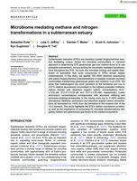 Microbiome mediating methane and nitrogen transformations in a subterranean estuary