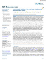 Large Methane Emissions From Tree Stems Complicate the Wetland Methane Budget