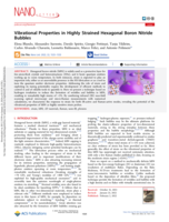 Vibrational Properties in Highly Strained Hexagonal Boron Nitride Bubbles