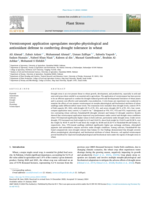 Vermicompost application upregulates morpho-physiological and antioxidant defense to conferring drought tolerance in wheat