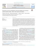Assessment of mercury distribution and bioavailability from informal coastal cinnabar mining - Risk to the marine environment