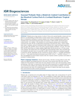 Seasonal Wetlands Make a Relatively Limited Contribution to the Dissolved Carbon Pool of a Lowland Headwater Tropical Stream