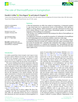 The role of thermodiffusion in transpiration