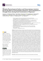 Morpho-Physiochemical Indices and Transcriptome Analysis Reveal the Role of Glucosinolate and Erucic Acid in Response to Drought Stress during Seed Germination of Rapeseed