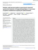 Modular, multi‐barcode amplicon sequencing for improved species‐level detection of fungal phytopathogens: A case study of pipeline establishment targeting the Ophiostomatales