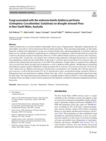 Fungi associated with the ambrosia beetle Xyleborus perforans (Coleoptera: Curculionidae: Scolytinae) on drought-stressed Pinus in New South Wales, Australia