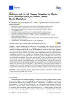Multispectral, Aerial Disease Detection for Myrtle Rust (Austropuccinia psidii) on a Lemon Myrtle Plantation