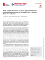 Draft Genome Sequences for Three Ophiostoma Species Acquired during Revisions of Australian Plant Pathogen Reference Collections
