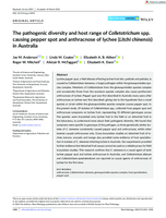 The pathogenic diversity and host range of Colletotrichum spp. causing pepper spot and anthracnose of lychee ( Litchi chinensis ) in Australia