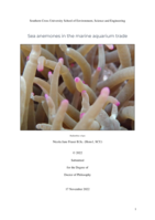 Sea anemones in the marine aquarium trade